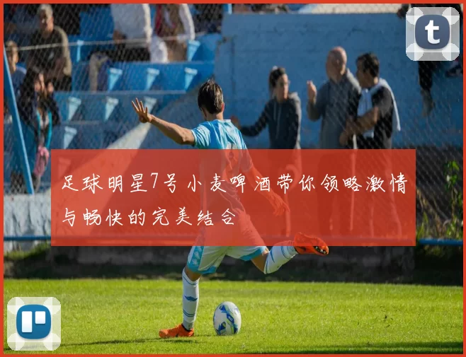 足球明星7号小麦啤酒带你领略激情与畅快的完美结合